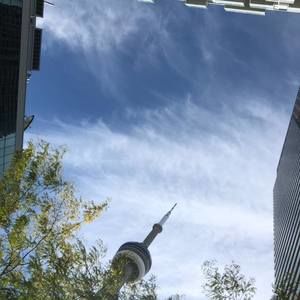 Meet your Posher, Austin